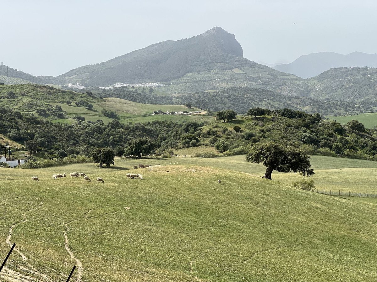 Land in Olvera
