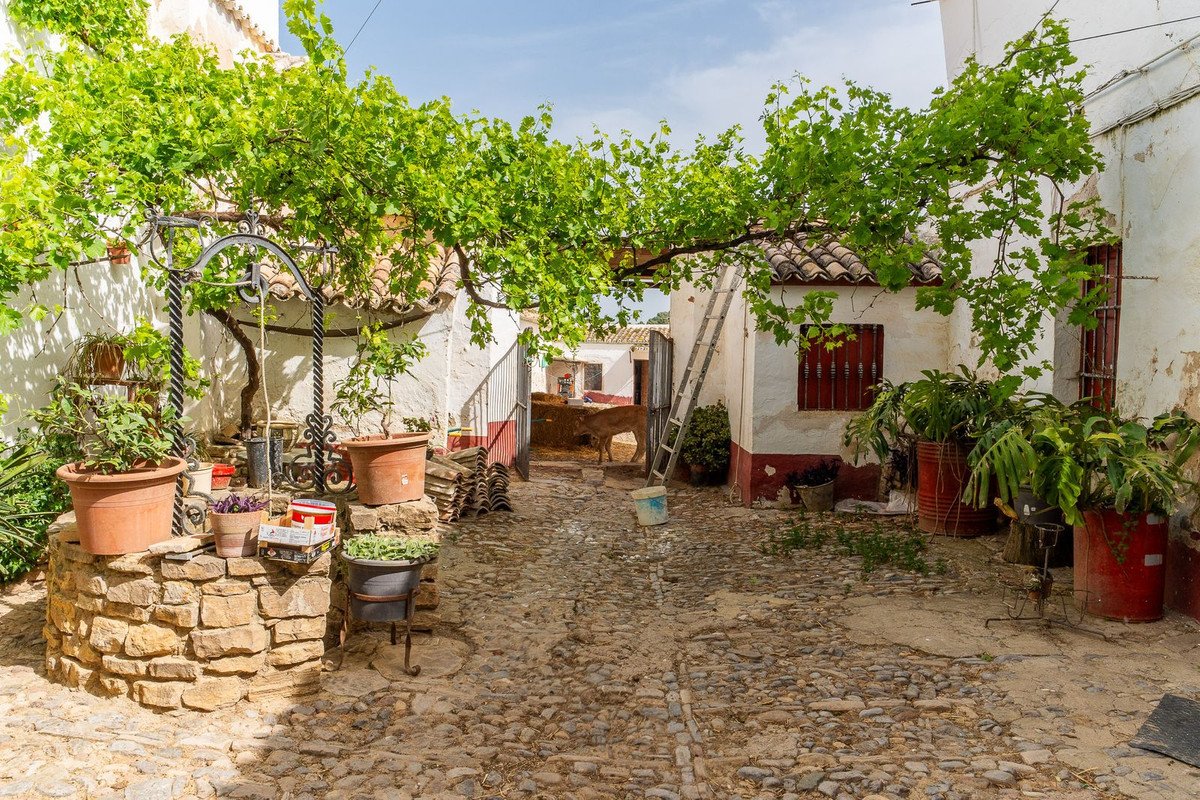 Land in Olvera