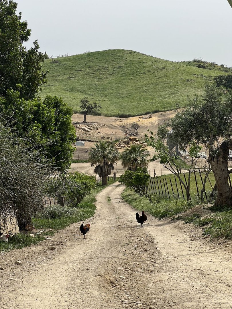 Land in Olvera