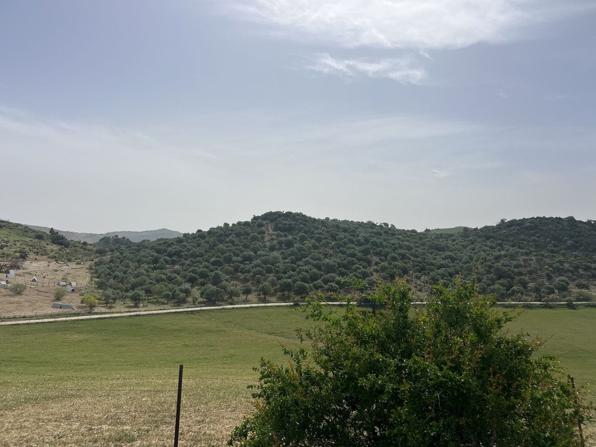 Land in Olvera