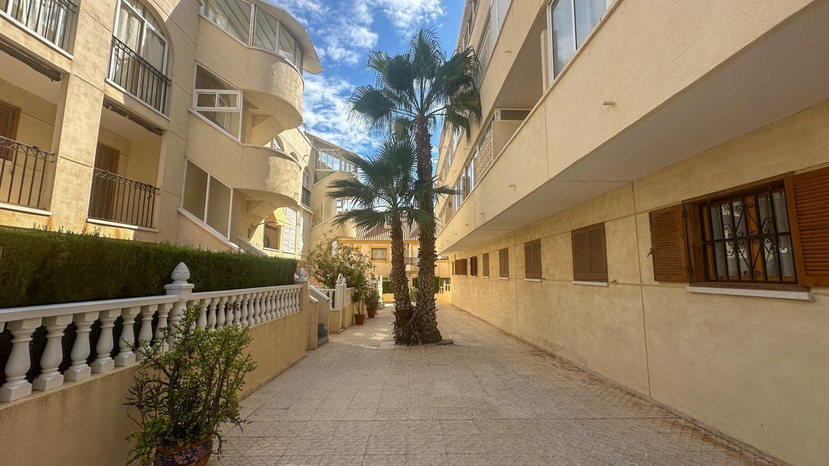 2 Bed Ground Floor Apartment in La Zenia