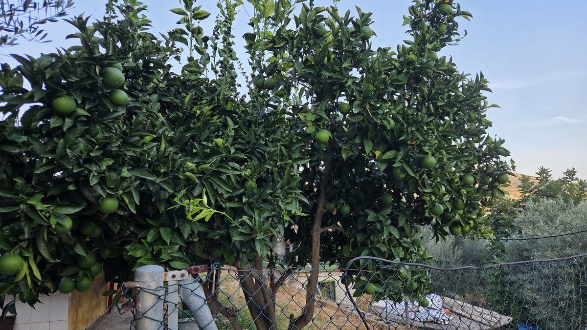 4 Bed Finca - Cortijo in Ojén