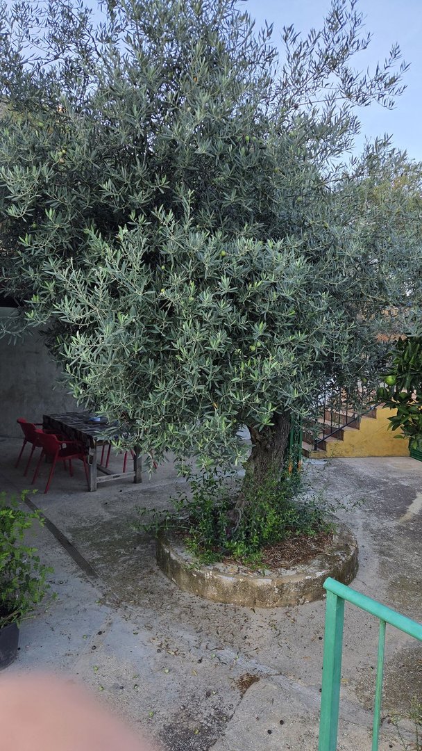 4 Bed Finca - Cortijo in Ojén