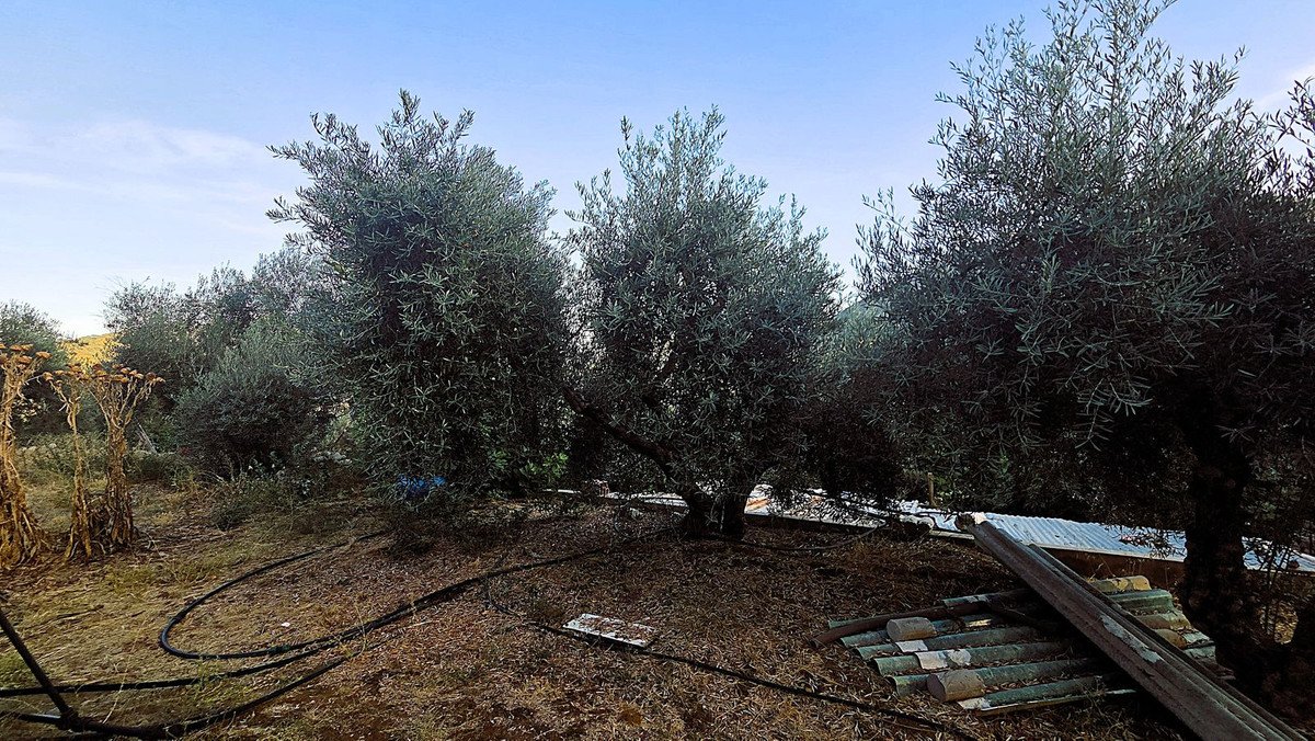 4 Bed Finca - Cortijo in Ojén