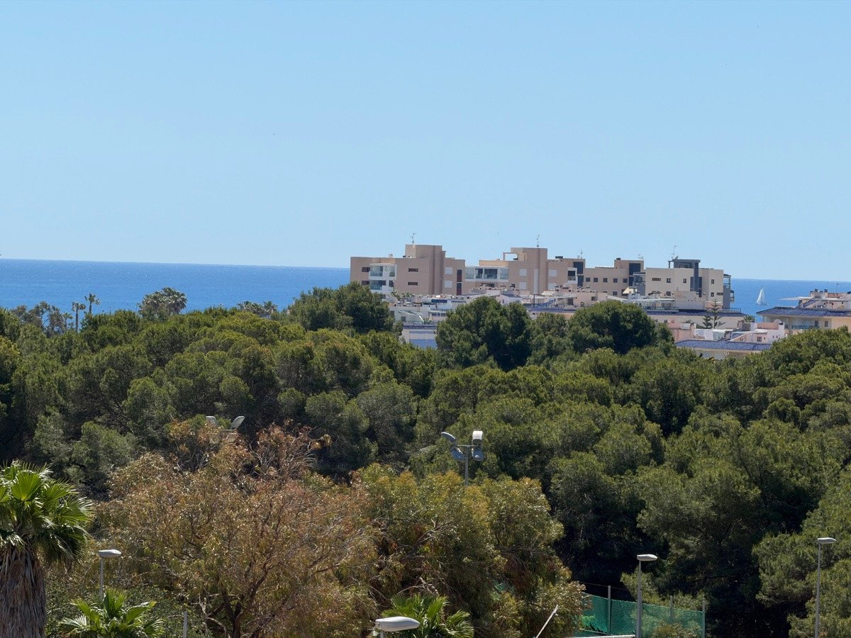 4 Bed Detached Villa in Mil Palmeras
