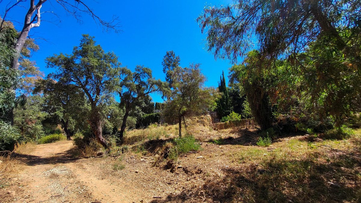 5 Bed Detached Villa in Elviria