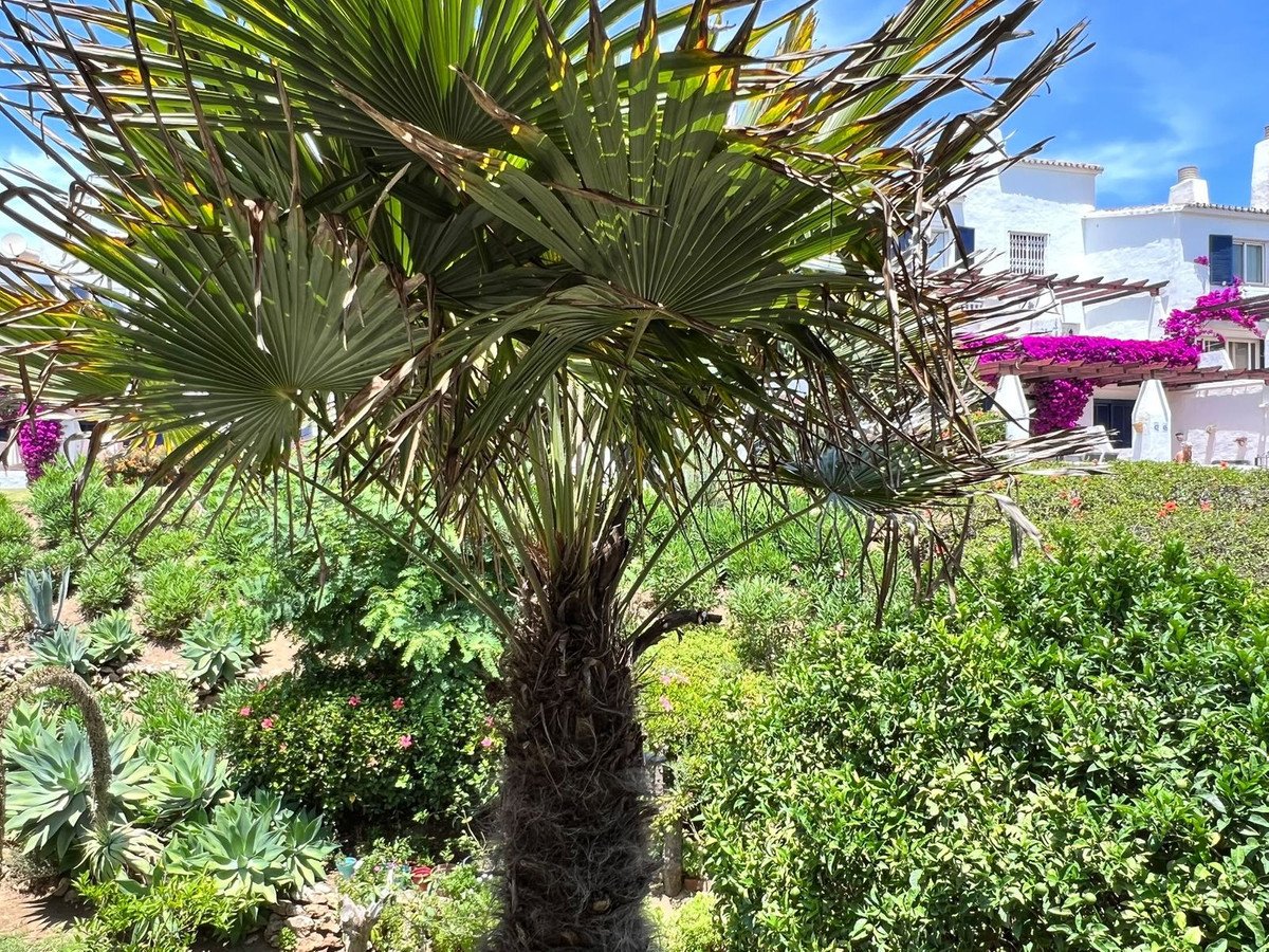 2 Bed Townhouse in Calahonda