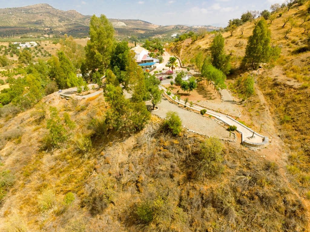15 Bed Hotel in Guaro