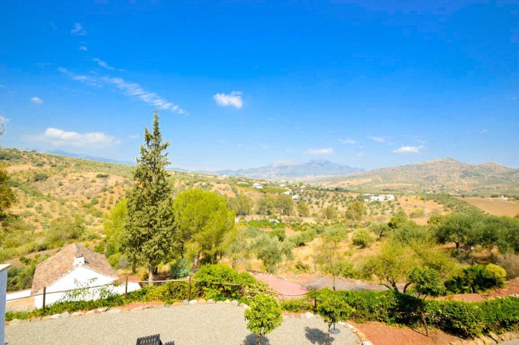 15 Bed Hotel in Guaro