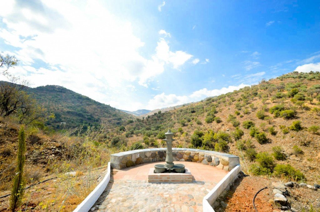 15 Bed Hotel in Guaro