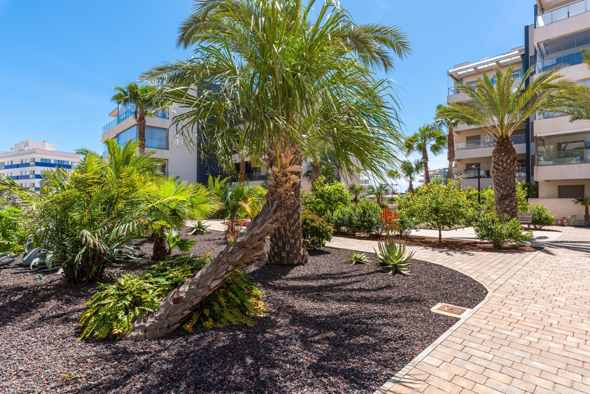 3 Bed Ground Floor Apartment in Orihuela Costa