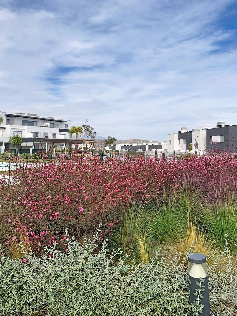 2 Bed Ground Floor Apartment in Estepona