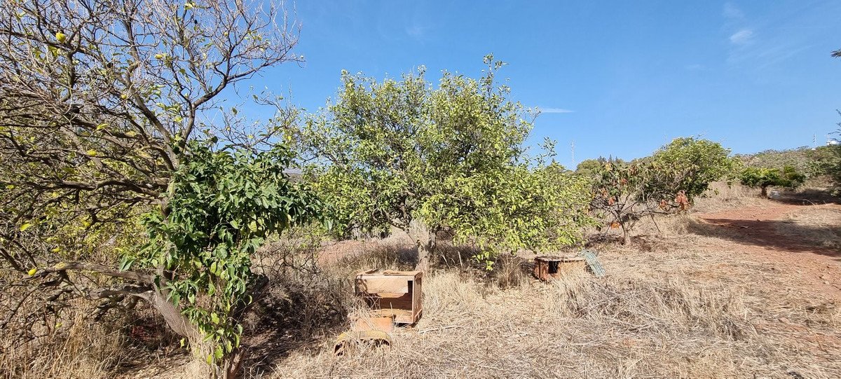 2 Bed Detached Villa in Estepona