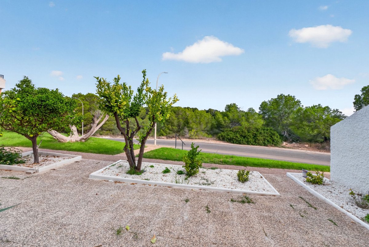2 Bed Bungalow in Villamartin