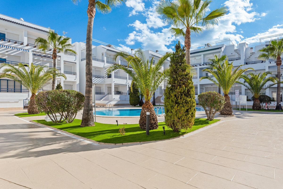 3 Bed Ground Floor Apartment in Torrevieja