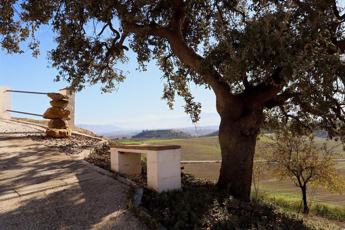 3 Bed Finca - Cortijo in Cártama
