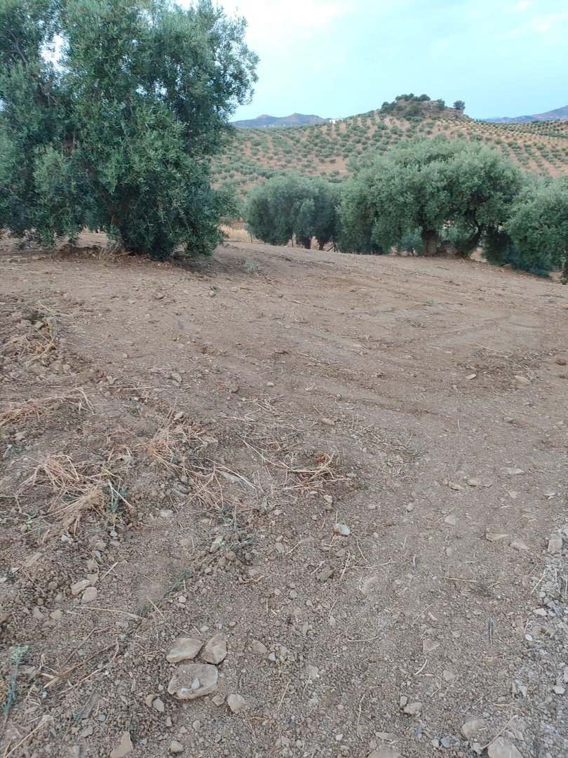 Residential Plot in Colmenar