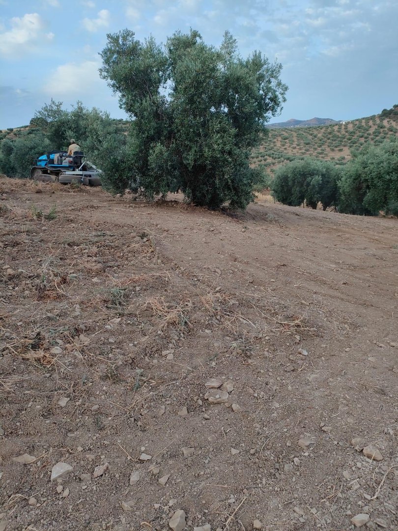 Residential Plot in Colmenar