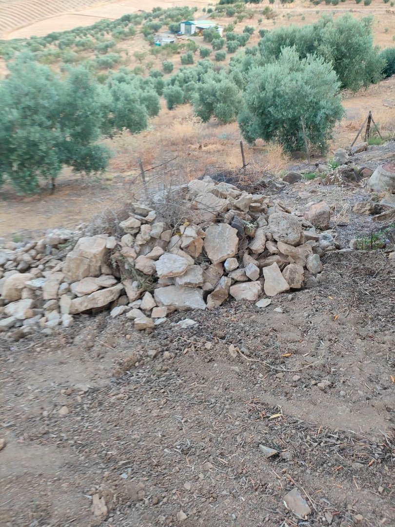 Residential Plot in Colmenar