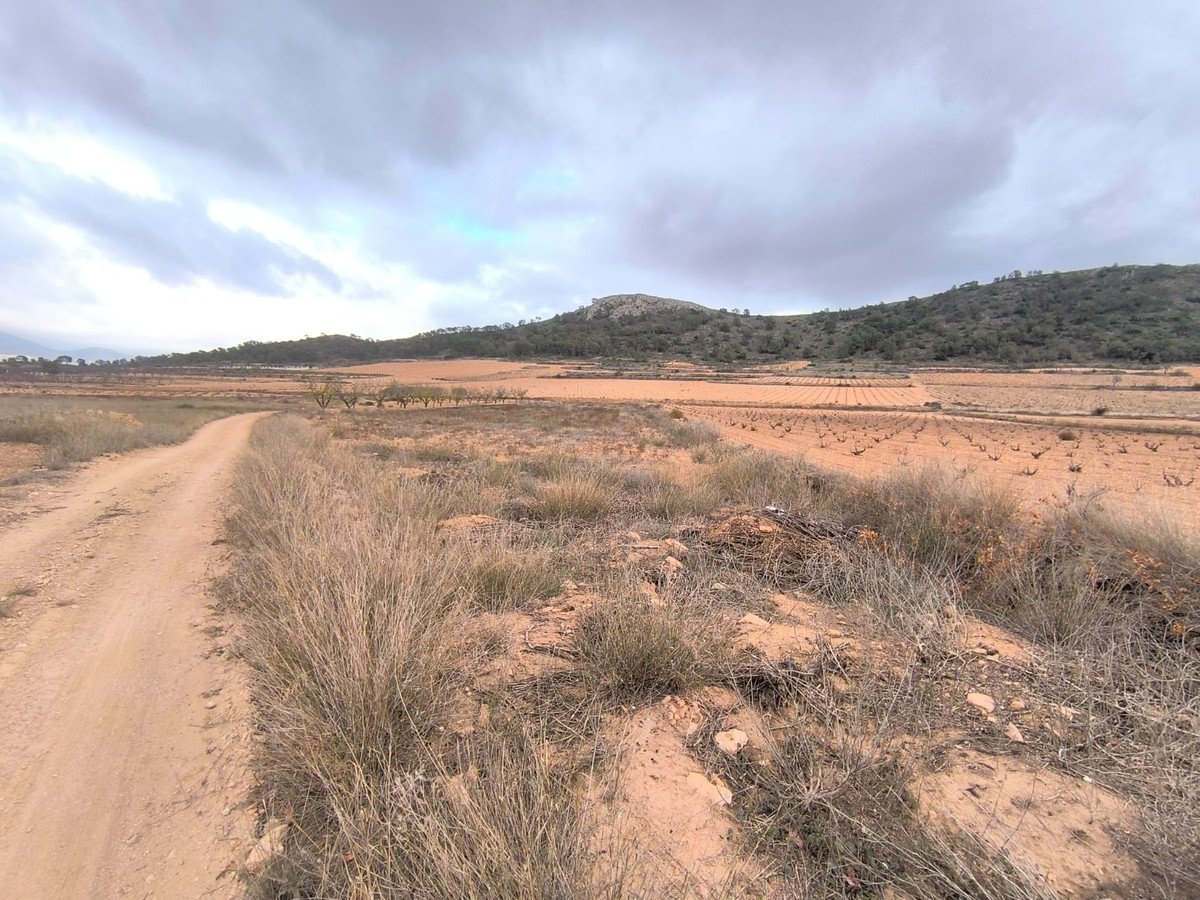 Land in La Solana