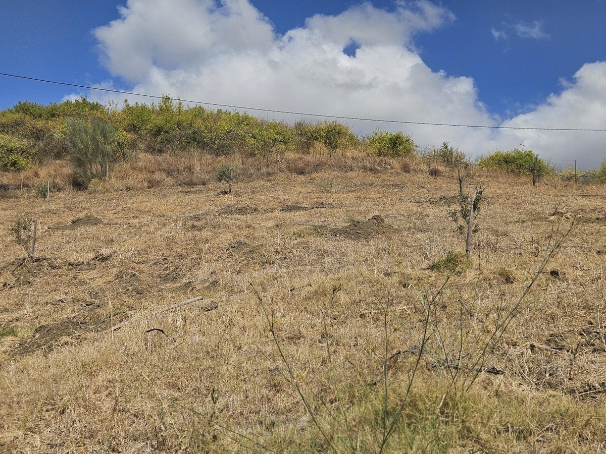 Land in Casarabonela
