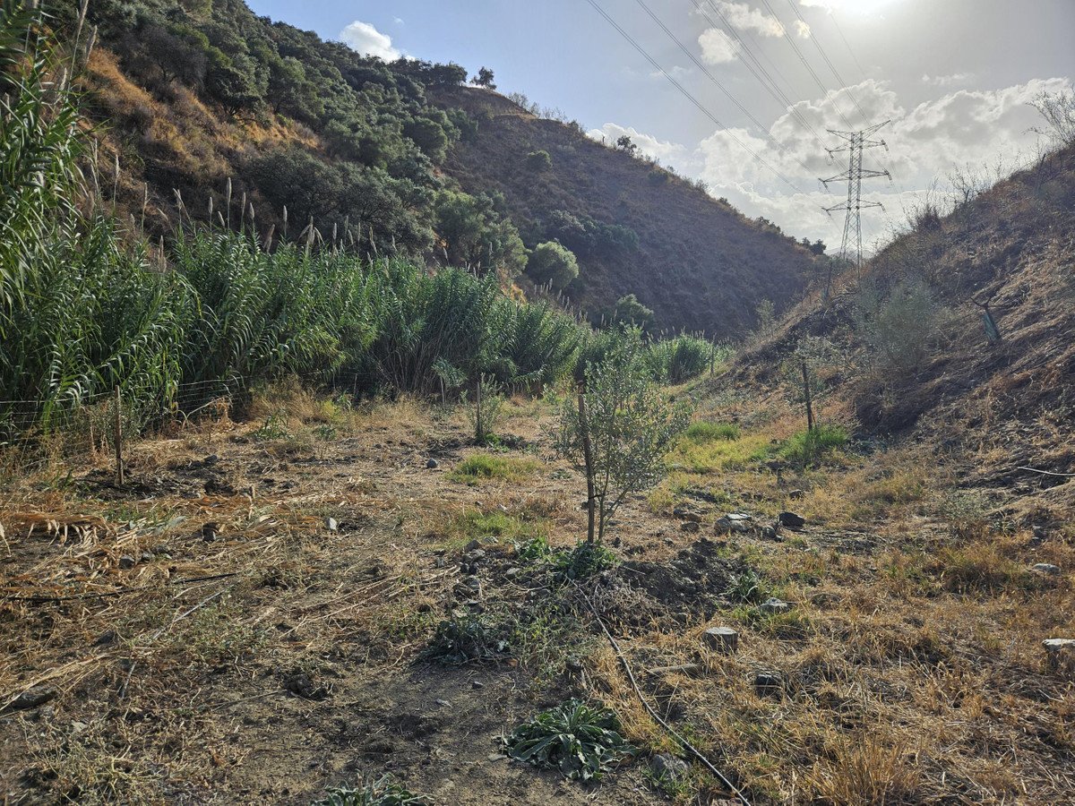 Land in Casarabonela