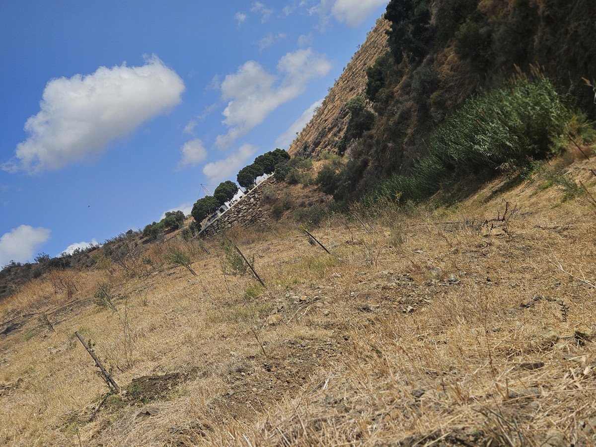 Land in Casarabonela