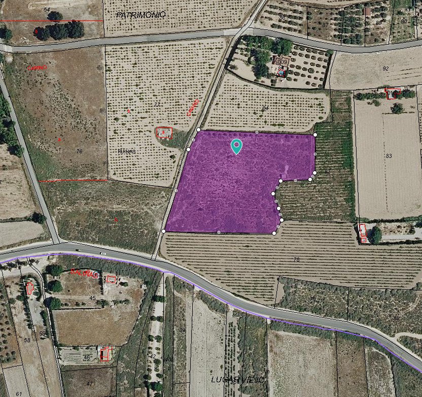 Land in Salinas