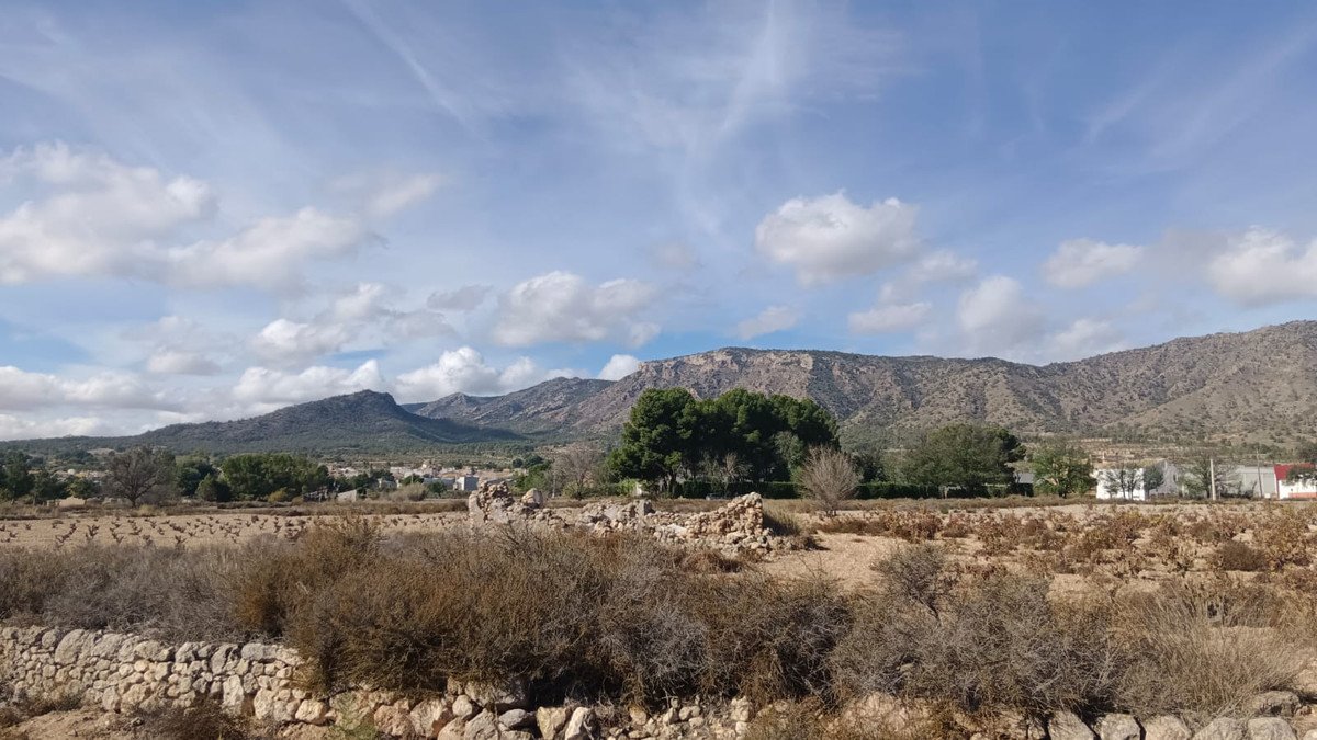 Land in Salinas