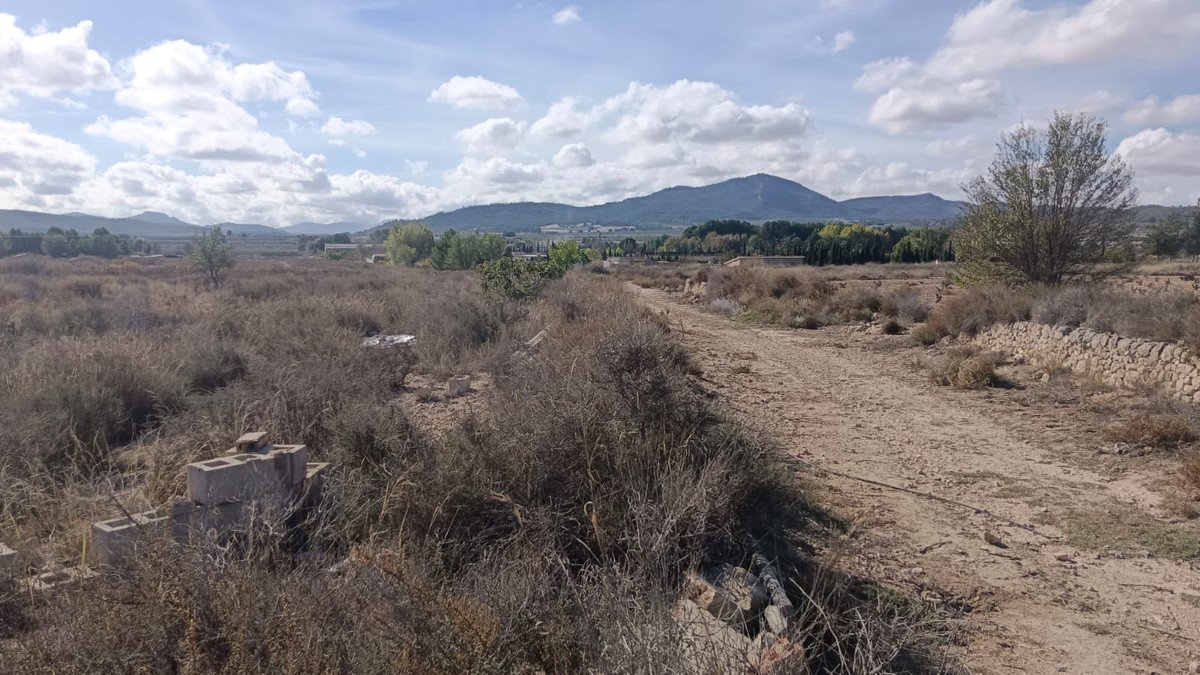 Land in Salinas
