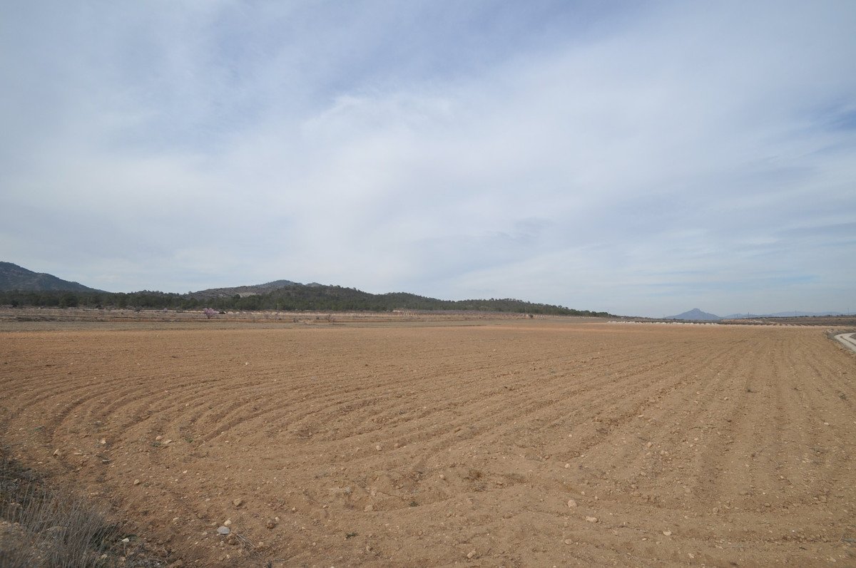 Land in Monóvar