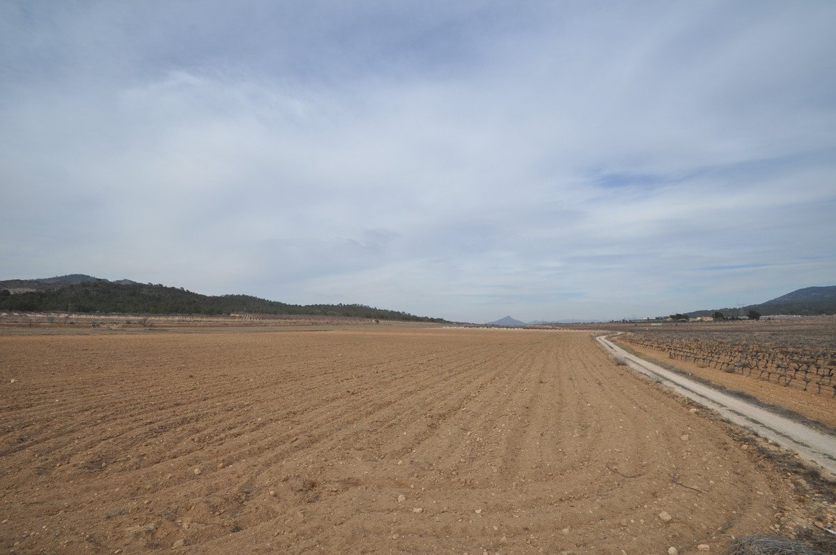 Land in Monóvar