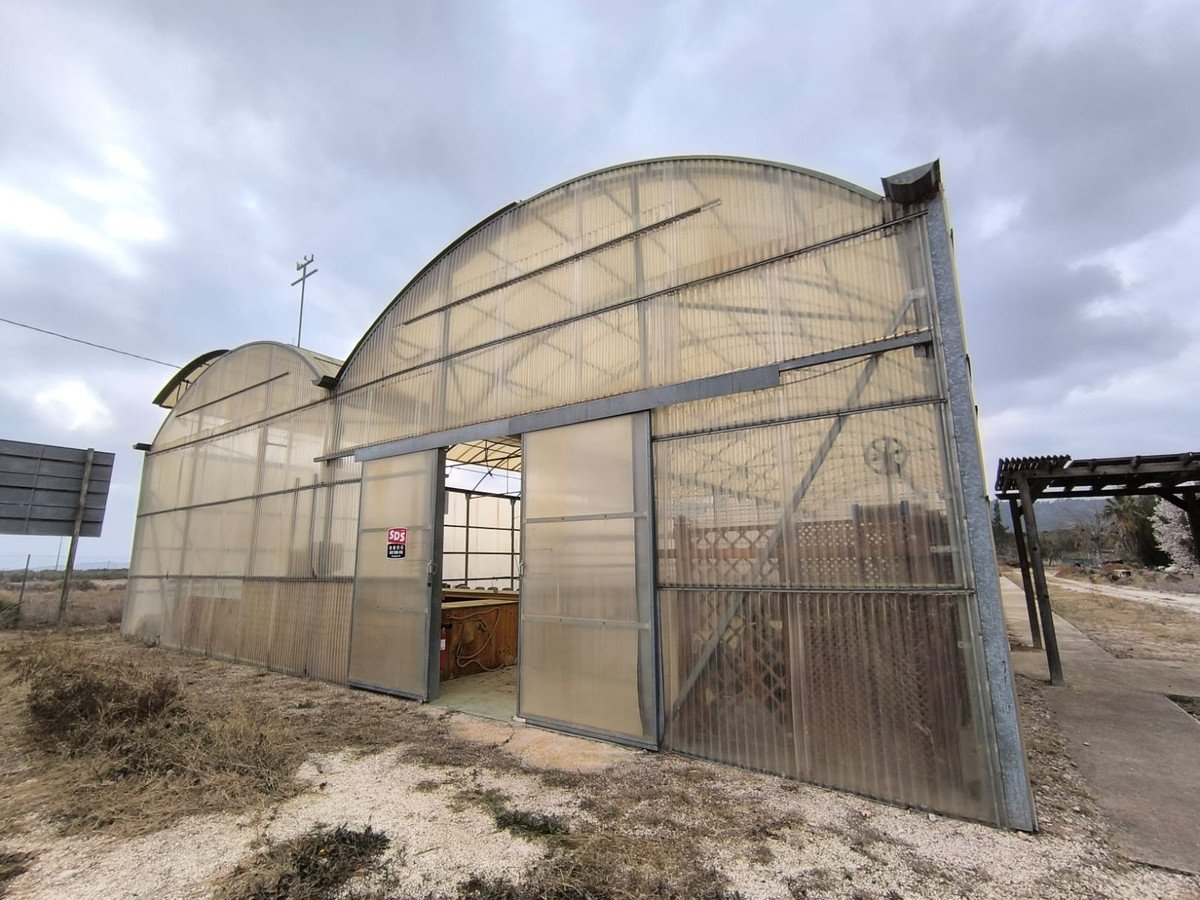Commercial in Aspe