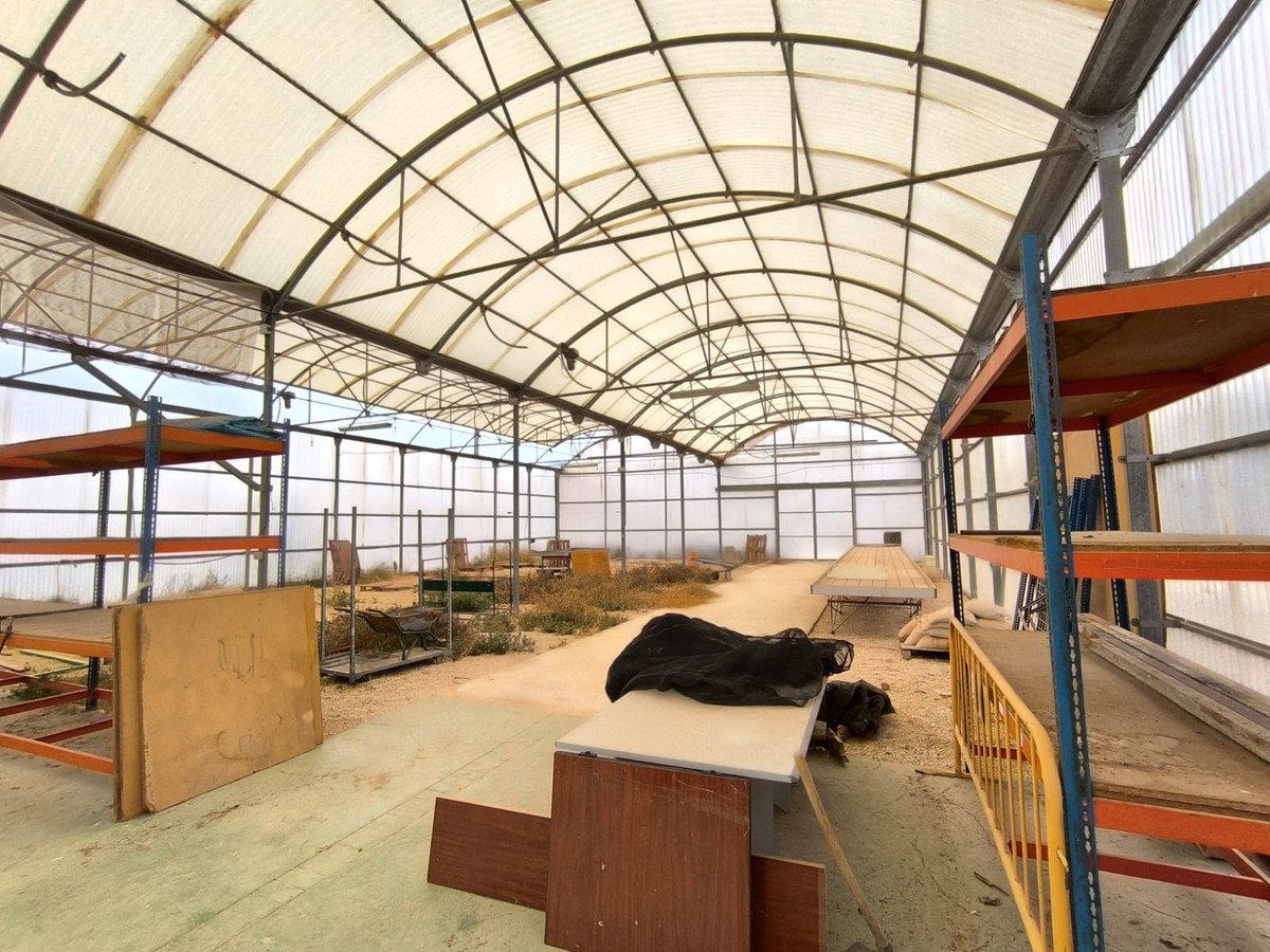 Commercial in Aspe
