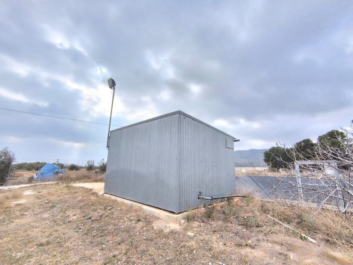 Commercial in Aspe