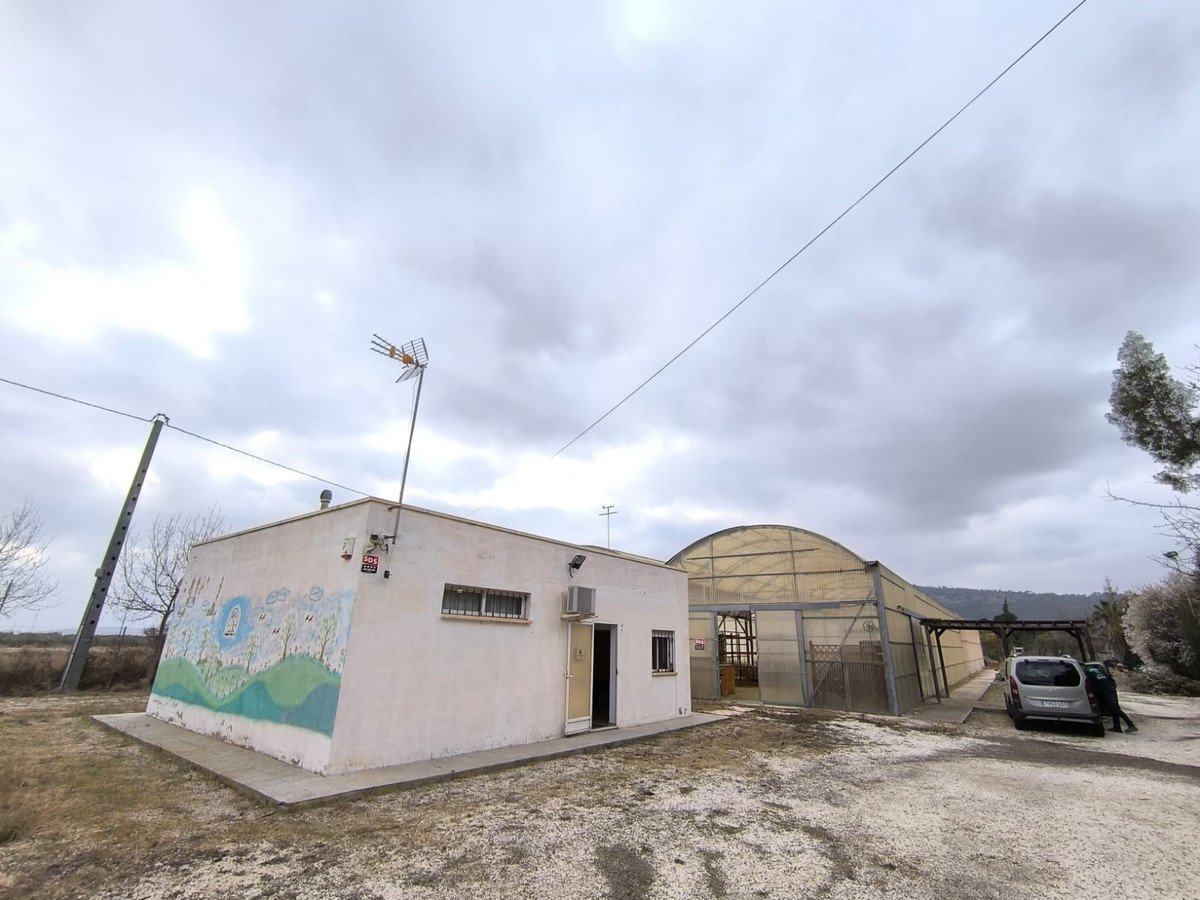 Commercial in Aspe