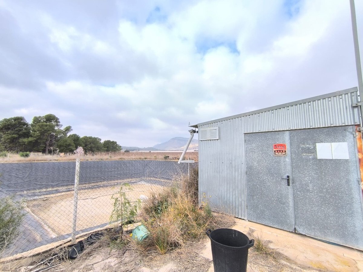 Commercial in Aspe
