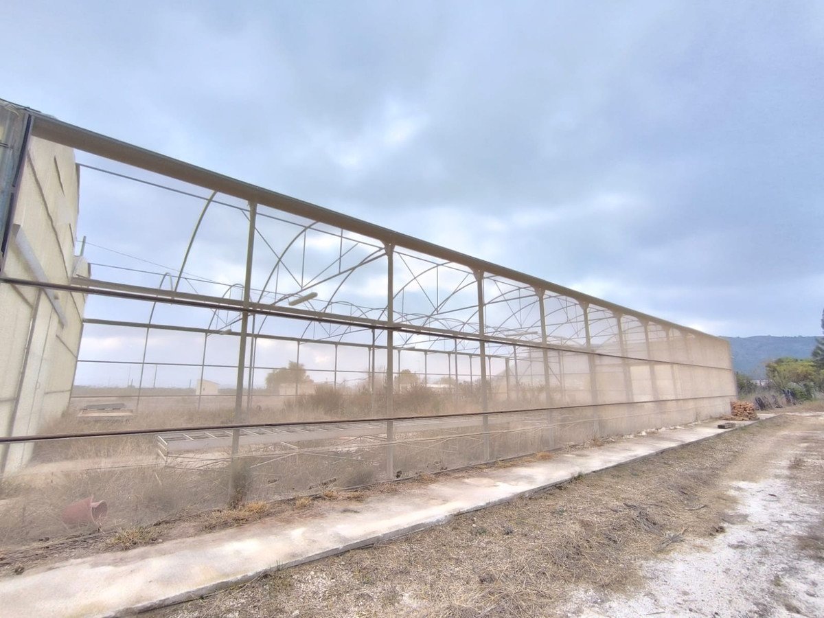 Commercial in Aspe