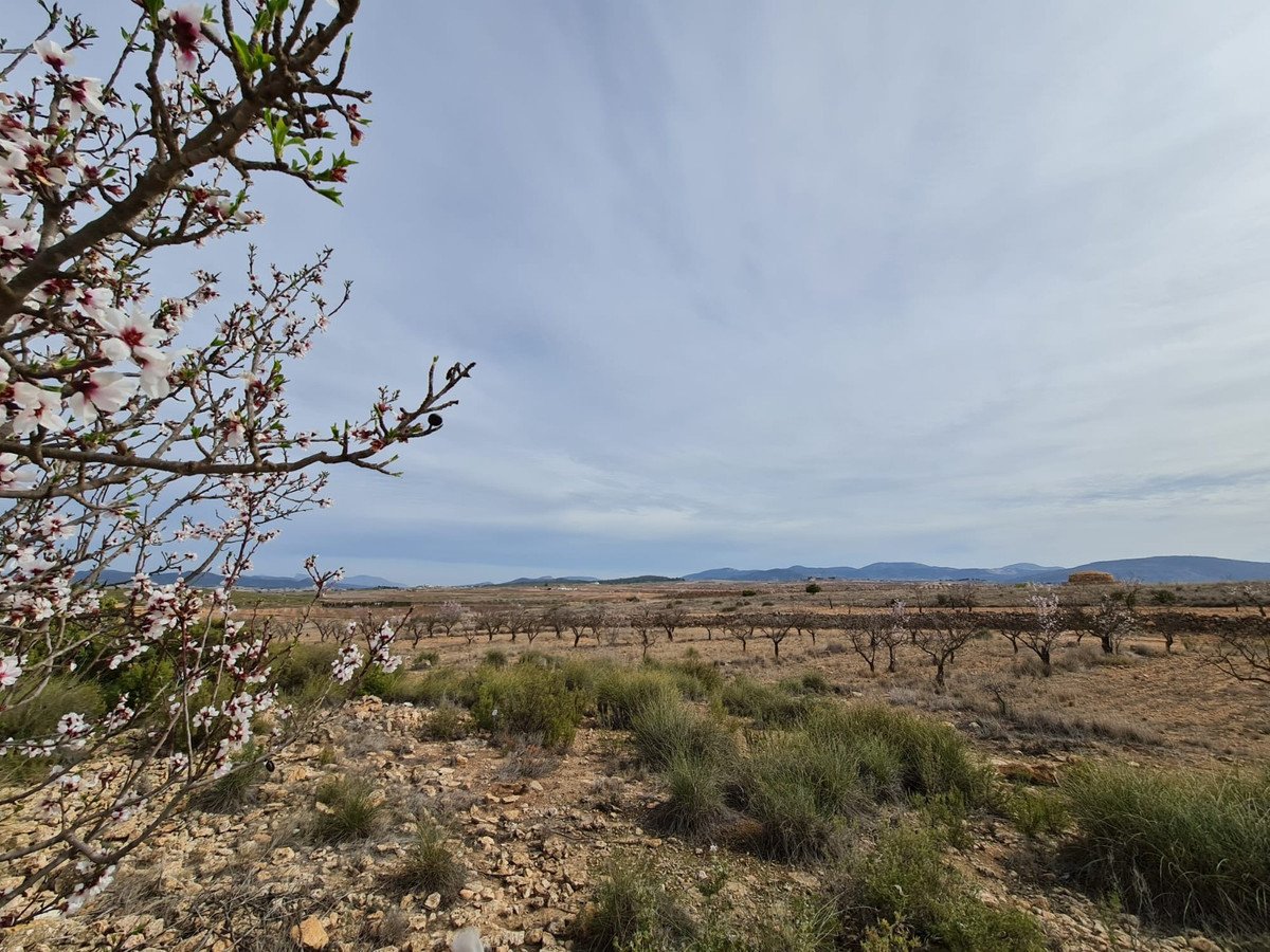 3 Bed Detached Villa in Pinoso
