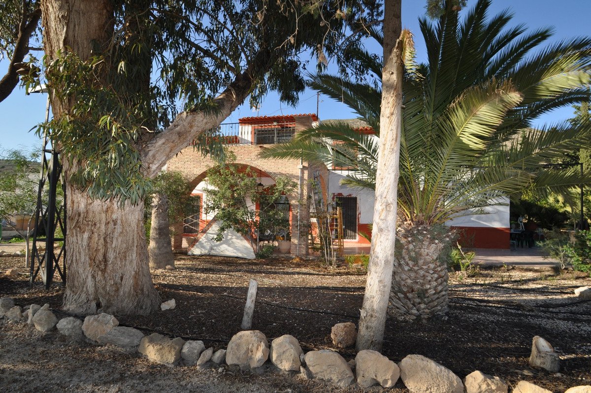 6 Bed Detached Villa in Fortuna