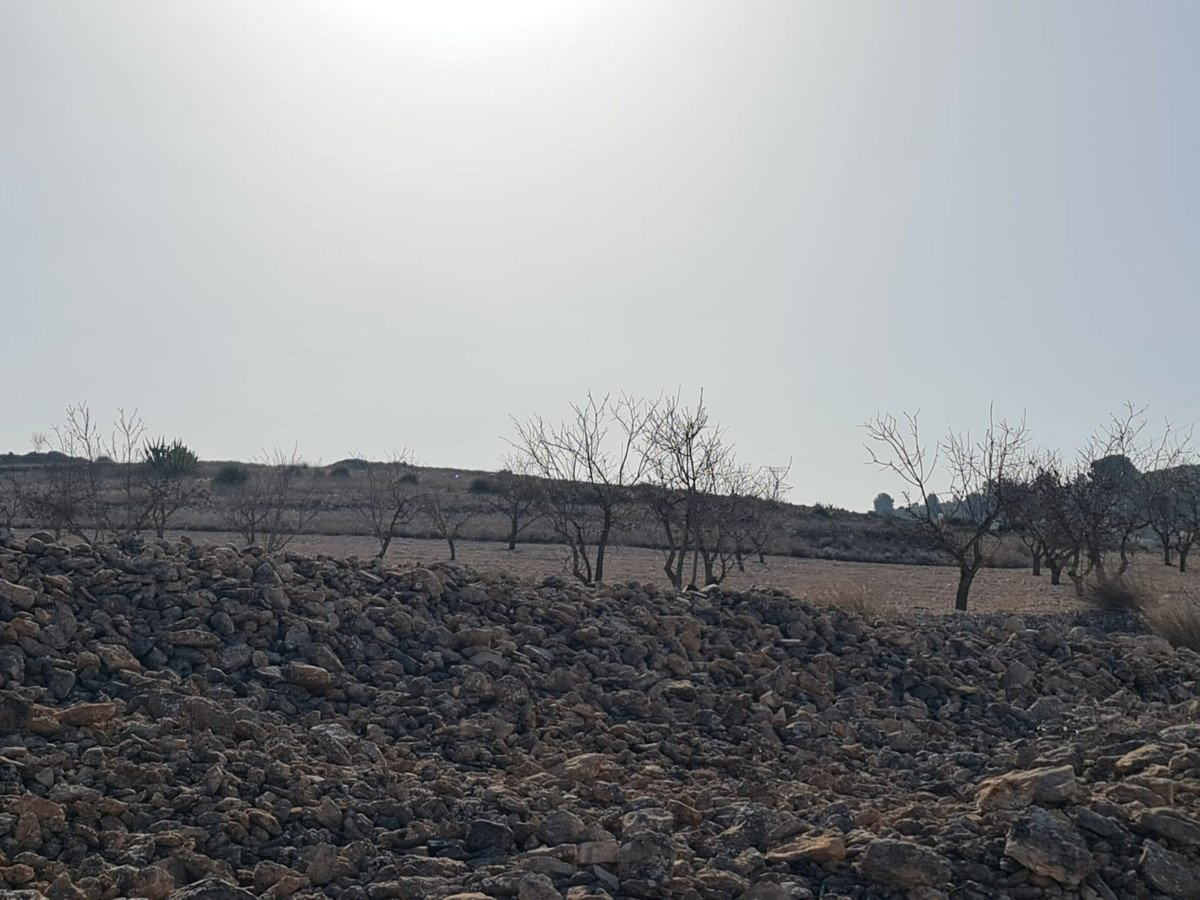 Land in Jumilla