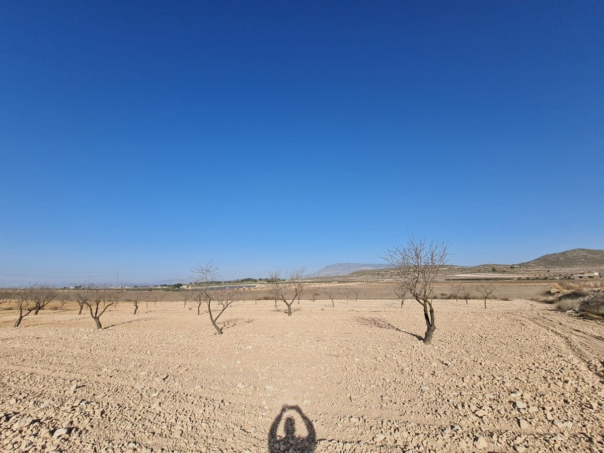 Land in Jumilla