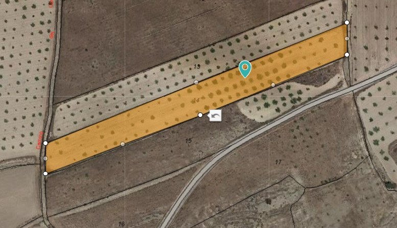 Land in Jumilla