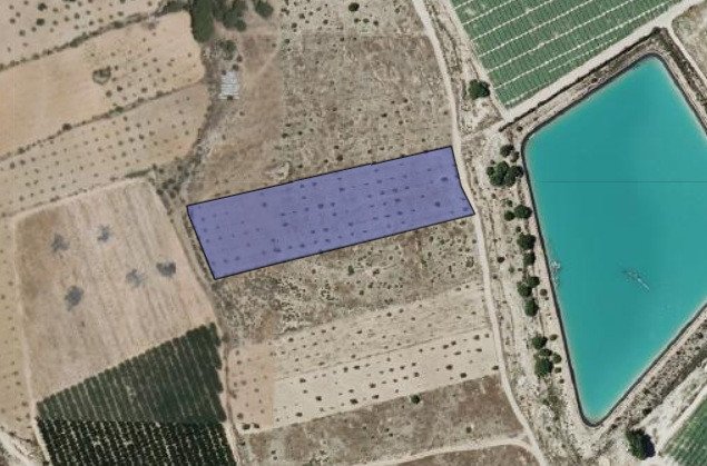 Land in Monóvar