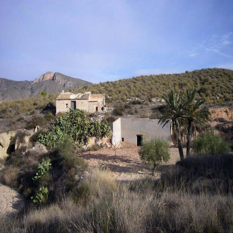 3 Bed Finca - Cortijo in Macisvenda