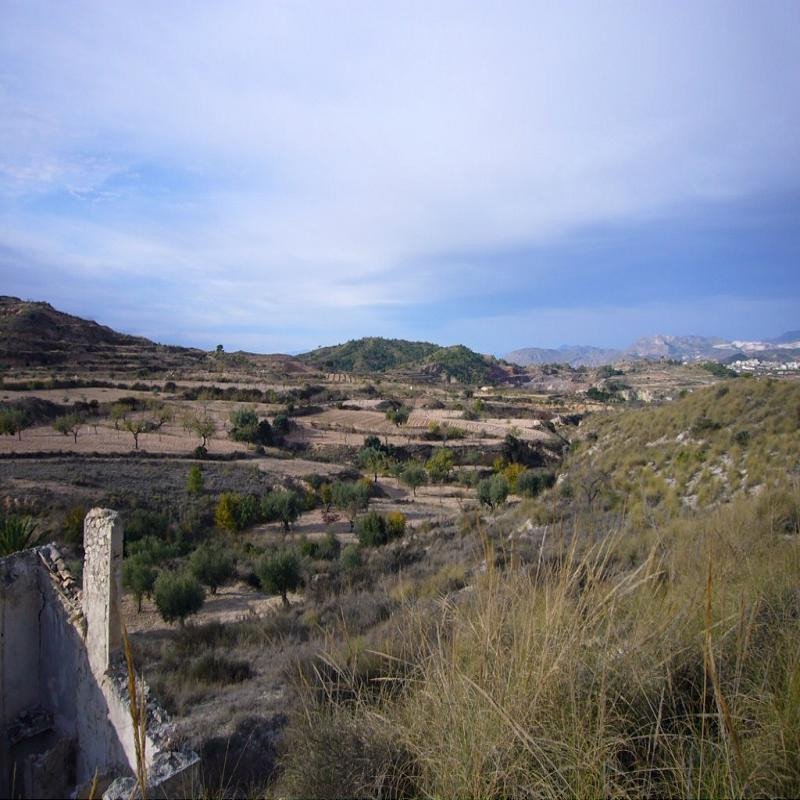 3 Bed Finca - Cortijo in Macisvenda