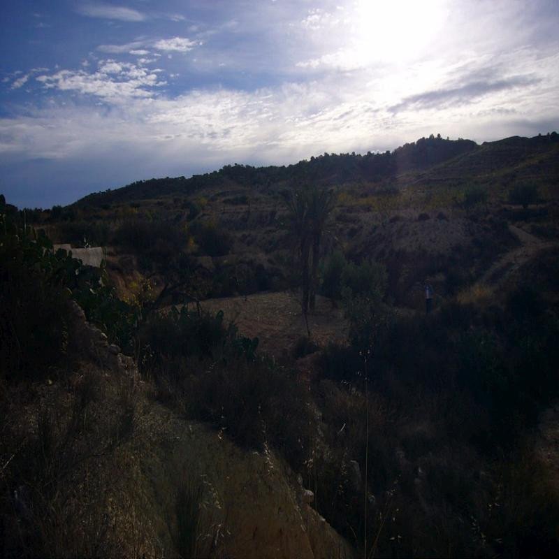 3 Bed Finca - Cortijo in Macisvenda