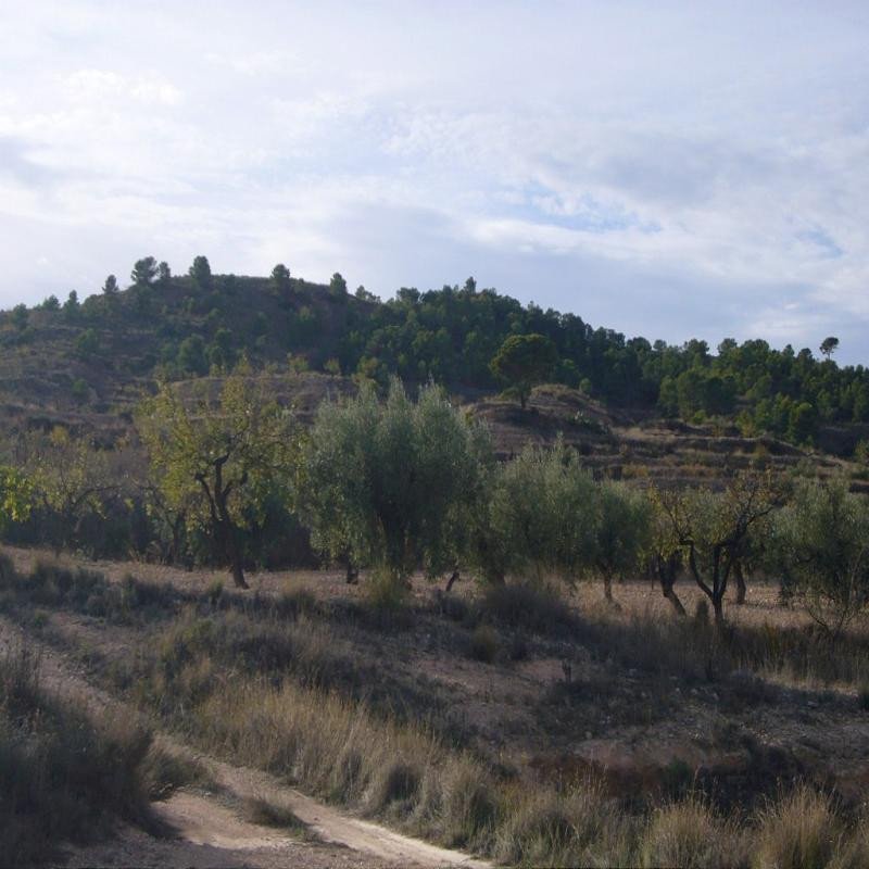 3 Bed Finca - Cortijo in Macisvenda