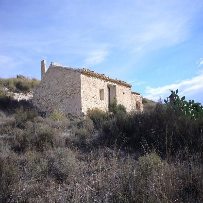 3 Bed Finca - Cortijo in Macisvenda