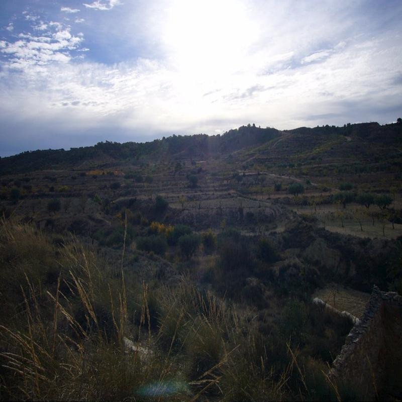 3 Bed Finca - Cortijo in Macisvenda